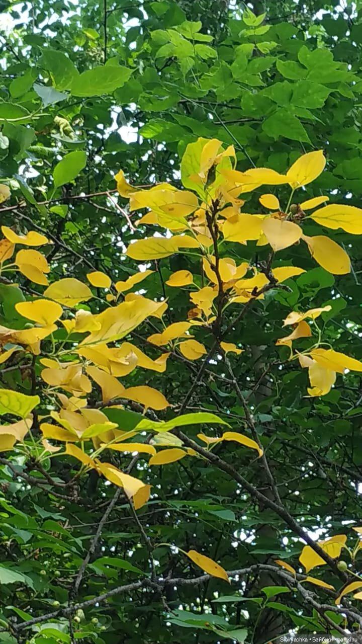 Есть только миг между прошлым и будущим