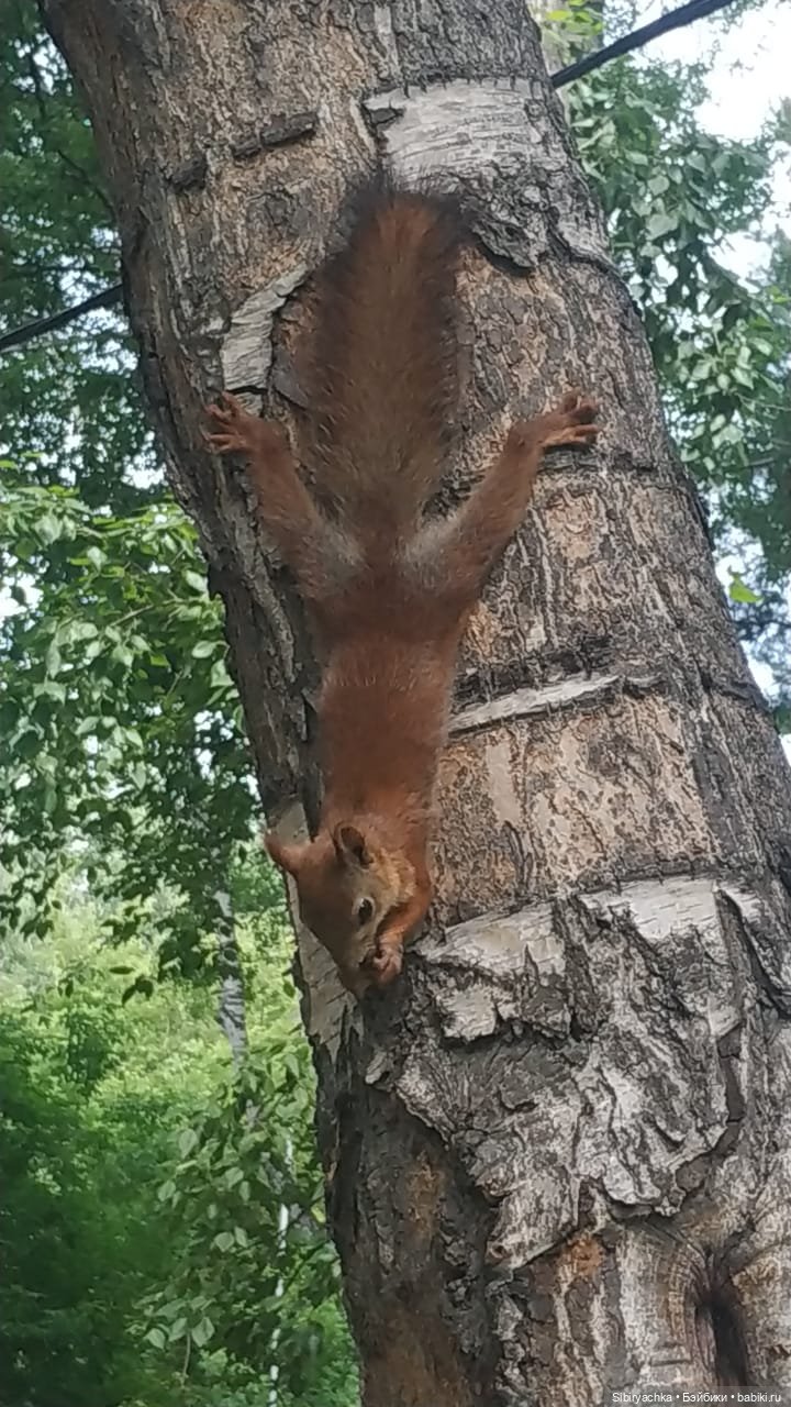 Есть только миг между прошлым и будущим