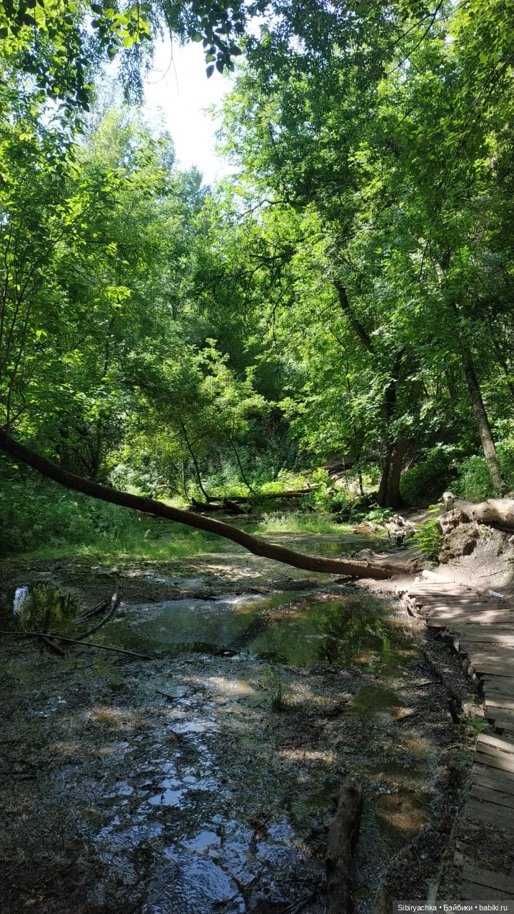 Есть только миг между прошлым и будущим