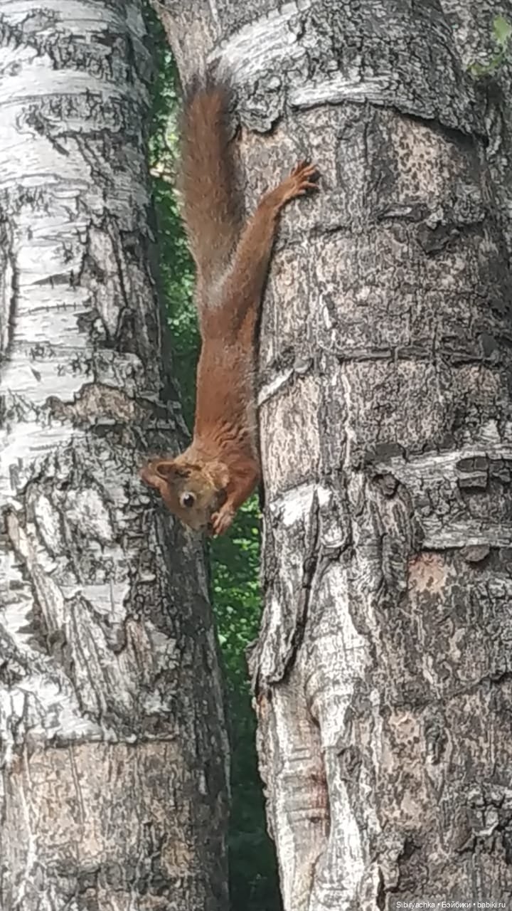 Есть только миг между прошлым и будущим