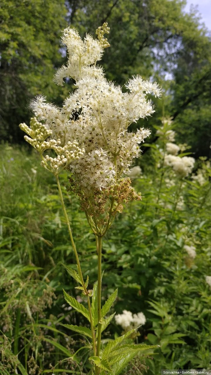 Есть только миг между прошлым и будущим