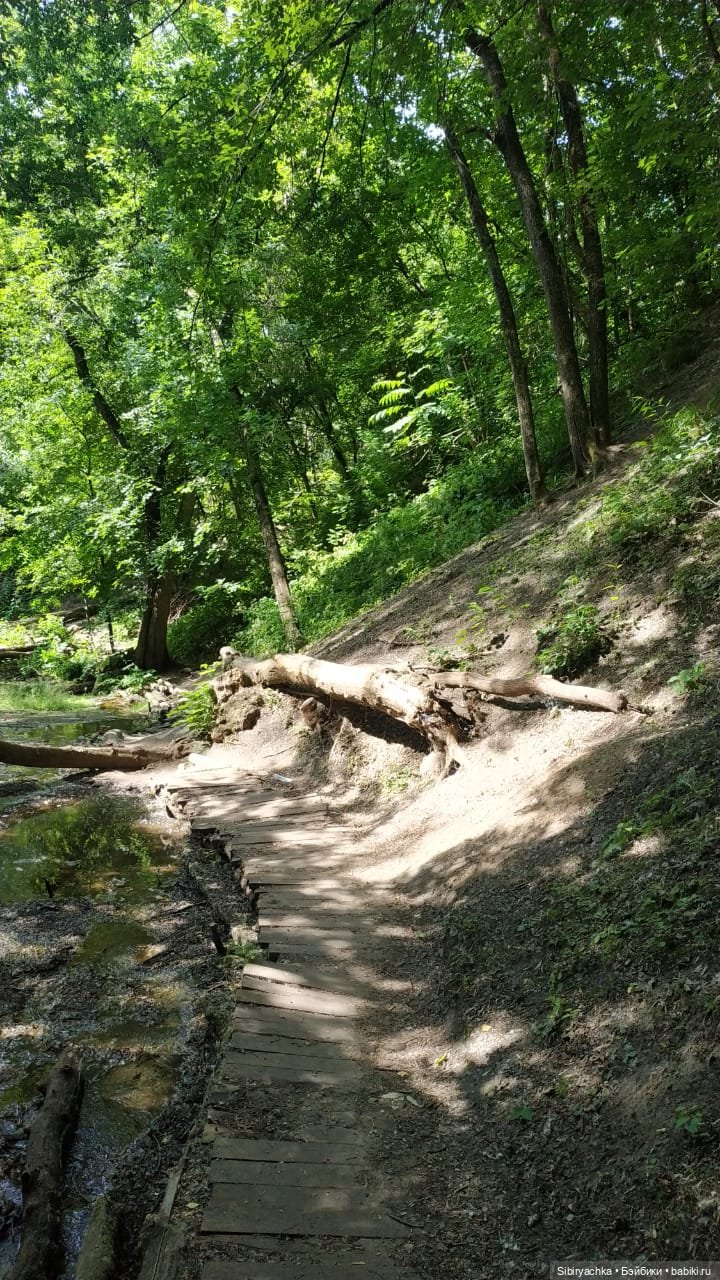 Есть только миг между прошлым и будущим