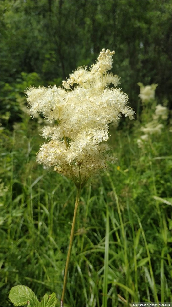 Есть только миг между прошлым и будущим