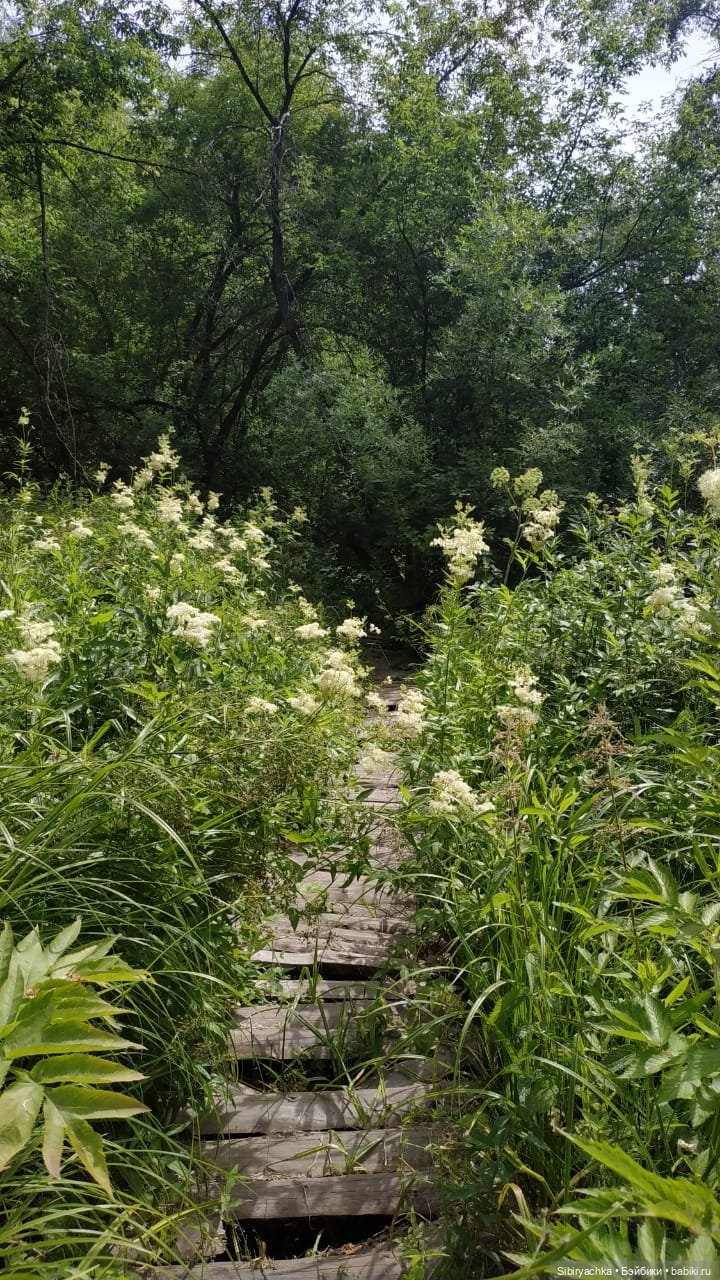 Есть только миг между прошлым и будущим