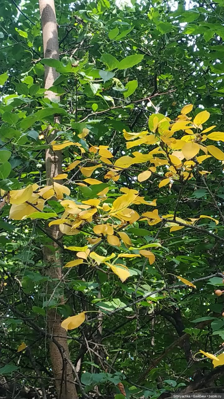 Есть только миг между прошлым и будущим (фото 10)