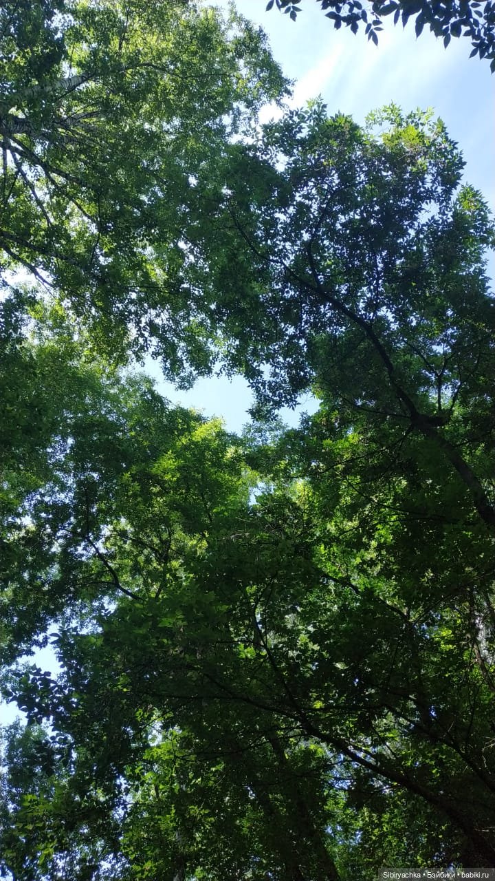 Есть только миг между прошлым и будущим