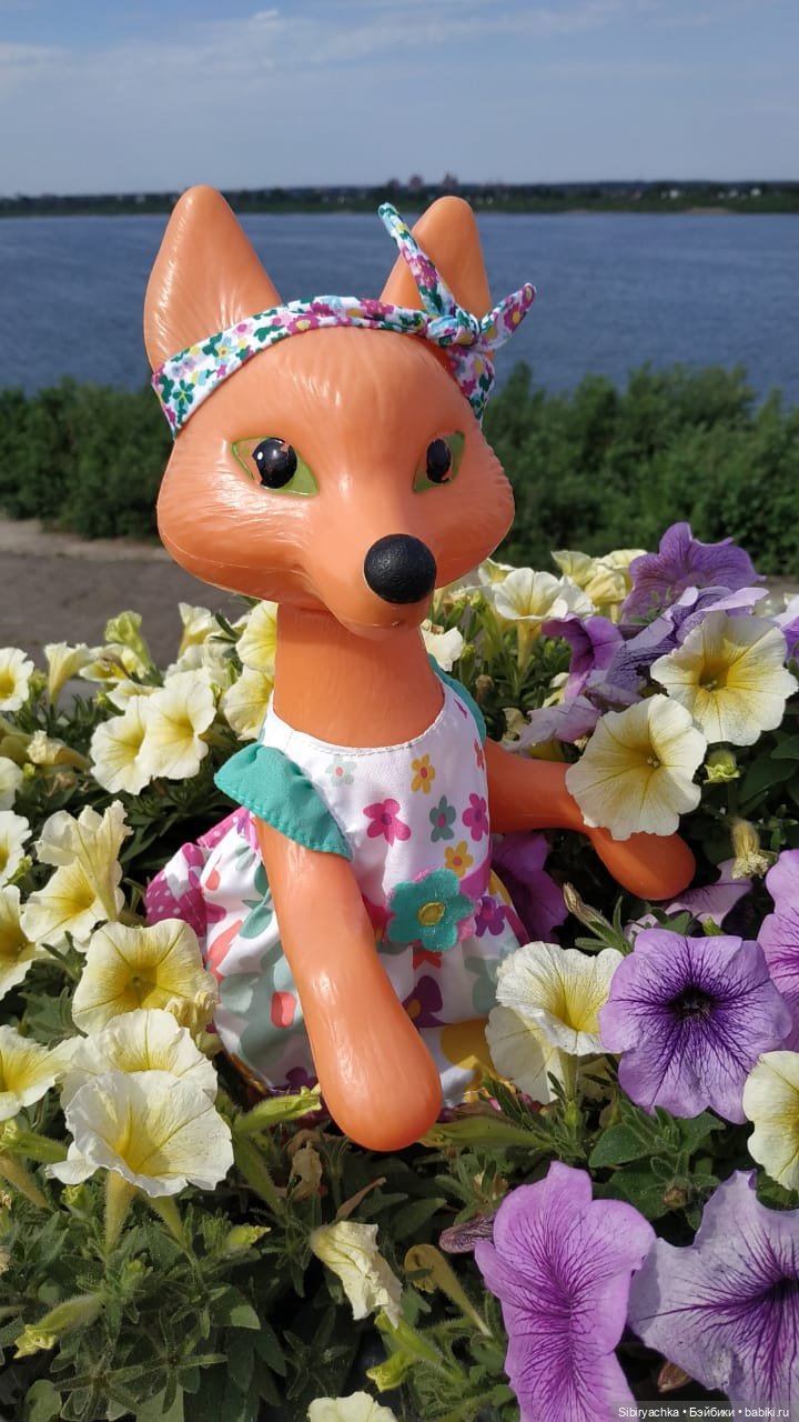 Лиса Патрикеевна расширяет свой кругозор (фото 2)