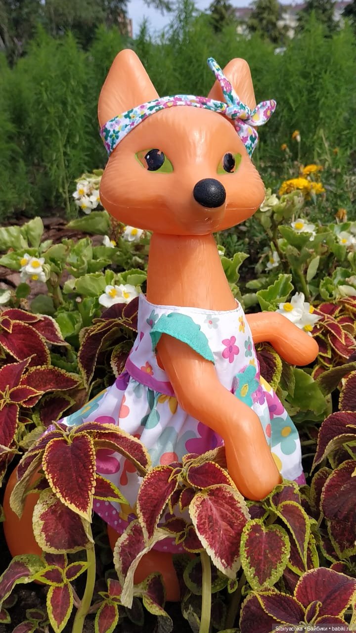 Лиса Патрикеевна расширяет свой кругозор