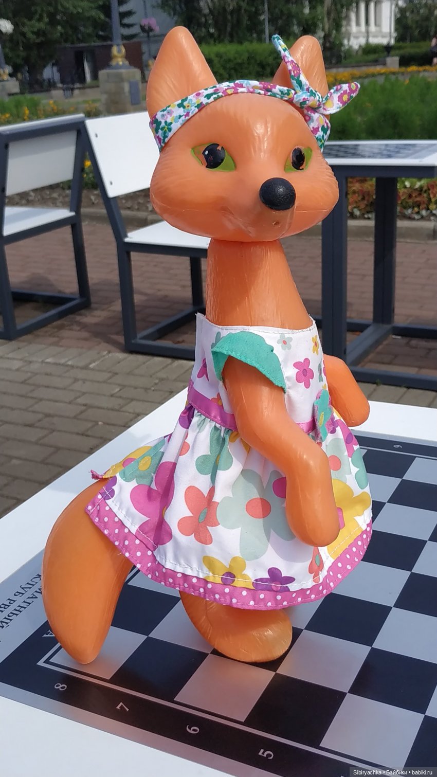 Лиса Патрикеевна расширяет свой кругозор (фото 9)