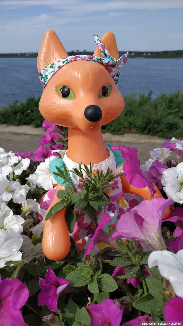 Лиса Патрикеевна расширяет свой кругозор (фото 3)