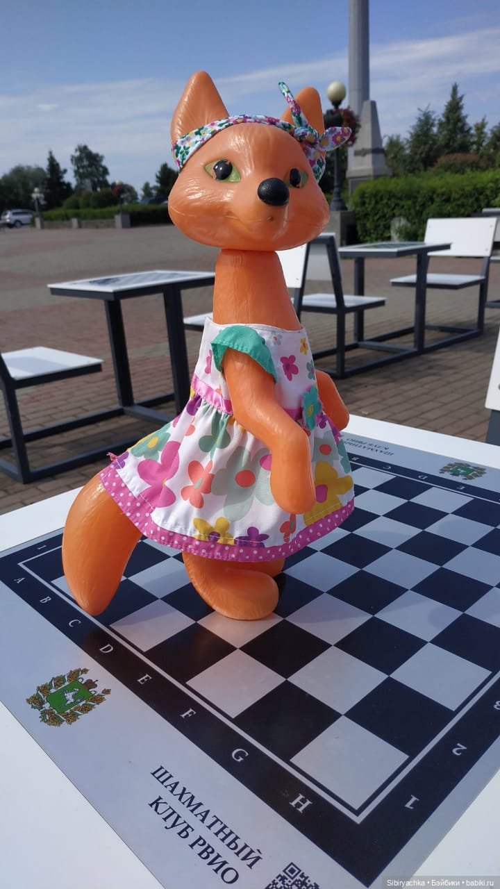 Лиса Патрикеевна расширяет свой кругозор (фото 10)