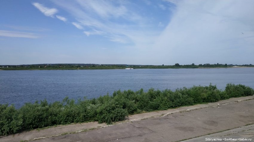 Лиса Патрикеевна расширяет свой кругозор