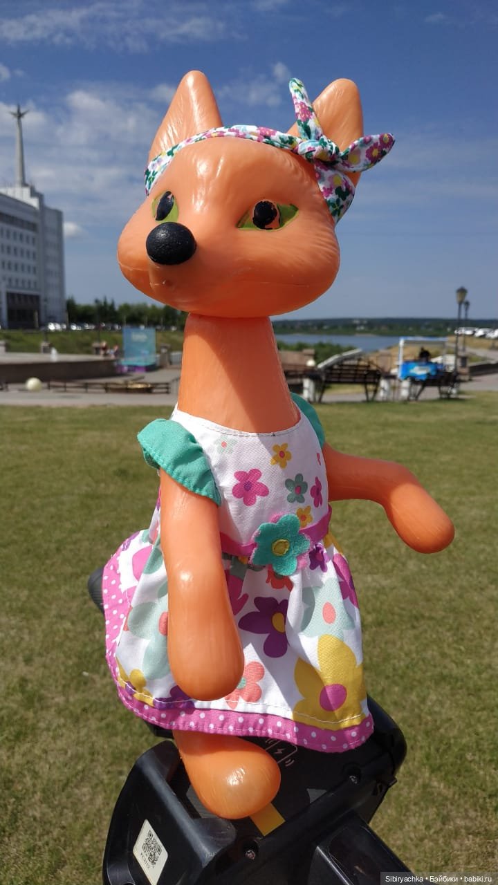 Лиса Патрикеевна расширяет свой кругозор