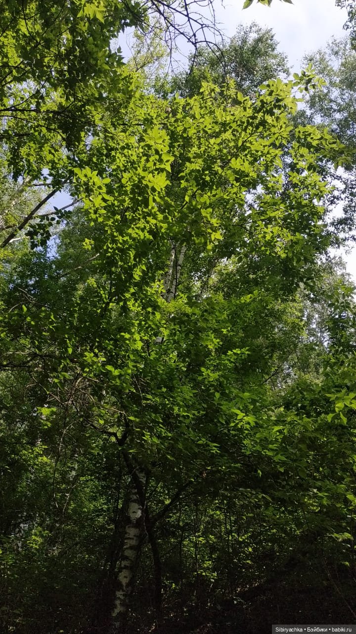 Мы с тобой два берега у одной реки (фото 5)