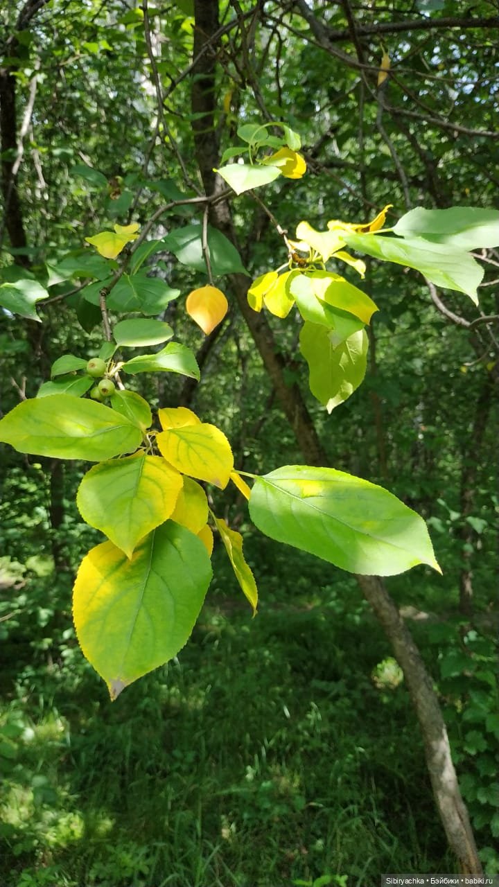 Мы с тобой два берега у одной реки