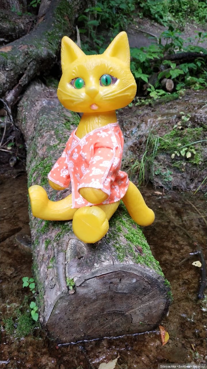 Котофей Иванович изучает окрестности деревни "Радость"