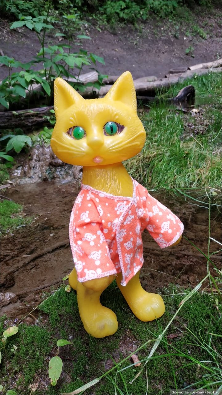 Котофей Иванович изучает окрестности деревни "Радость"