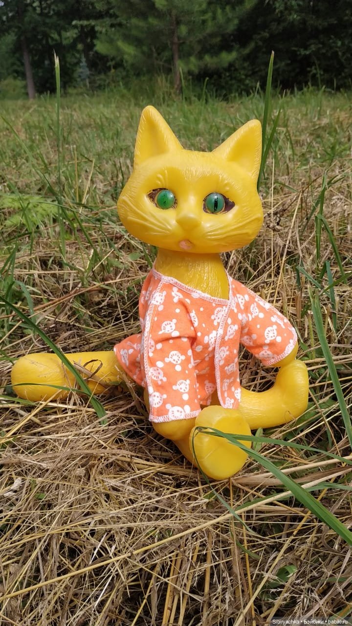 Котофей Иванович изучает окрестности деревни "Радость" (фото 8)