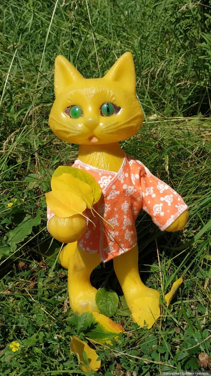 Котофей Иванович изучает окрестности деревни "Радость"