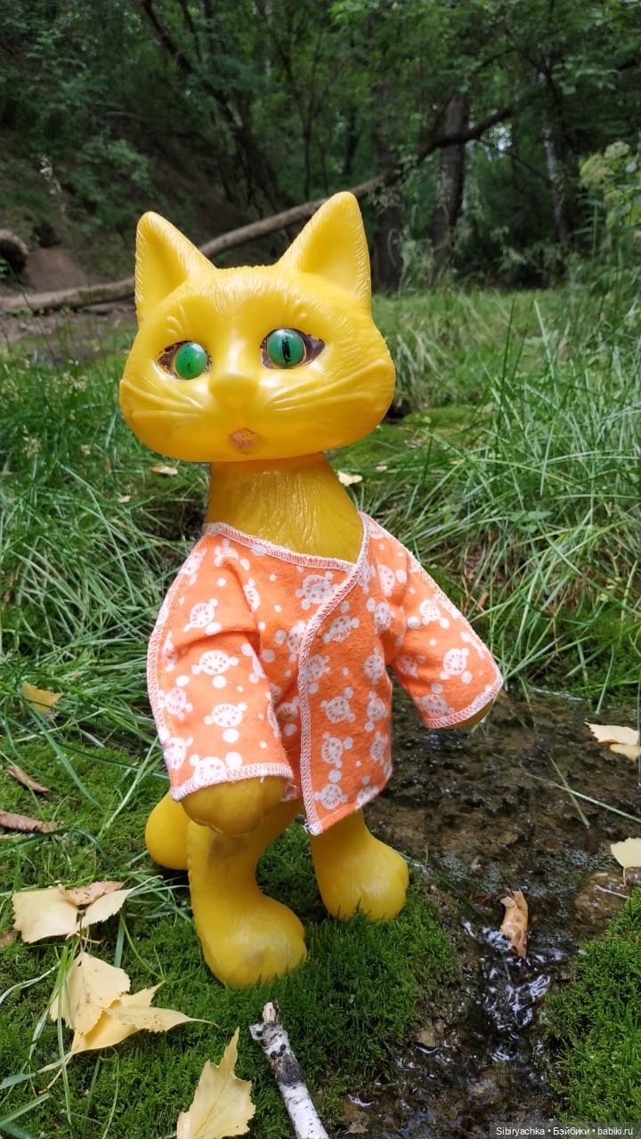 Котофей Иванович изучает окрестности деревни "Радость"