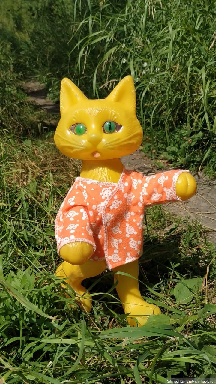 Котофей Иванович изучает окрестности деревни "Радость"