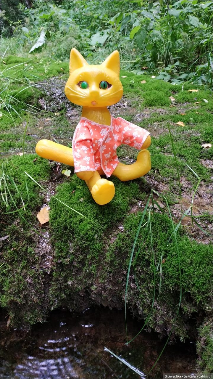 Котофей Иванович изучает окрестности деревни "Радость"