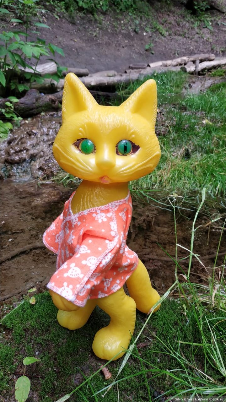 Котофей Иванович изучает окрестности деревни "Радость"