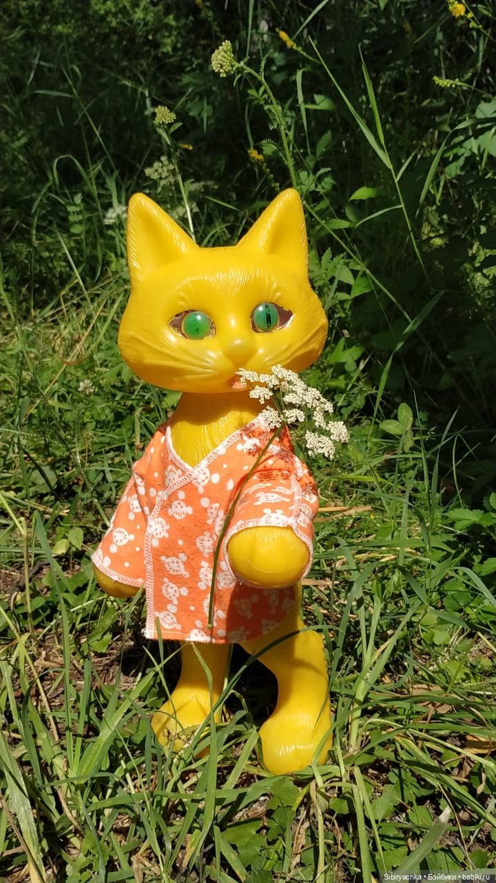 Котофей Иванович изучает окрестности деревни "Радость"