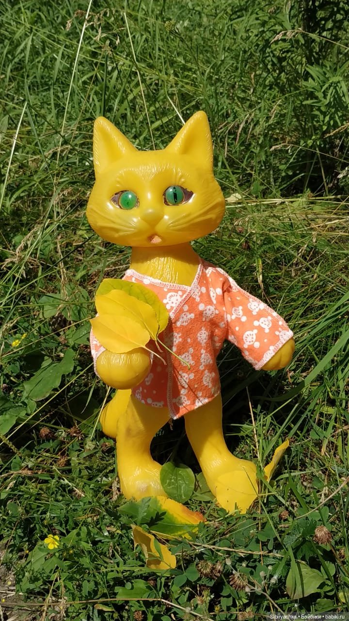 Котофей Иванович изучает окрестности деревни "Радость"