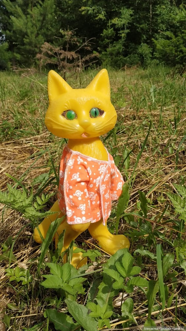 Котофей Иванович изучает окрестности деревни "Радость" (фото 2)