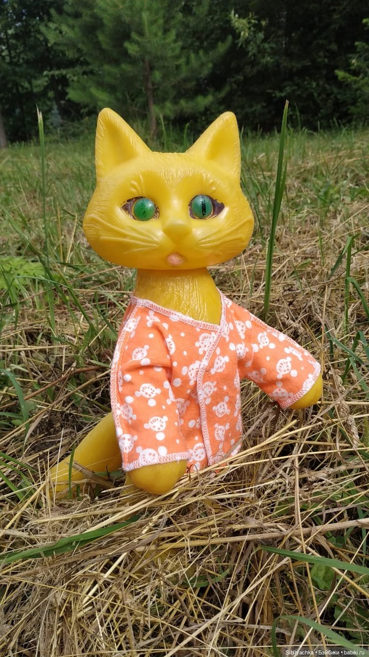 Котофей Иванович изучает окрестности деревни "Радость" (фото 6)