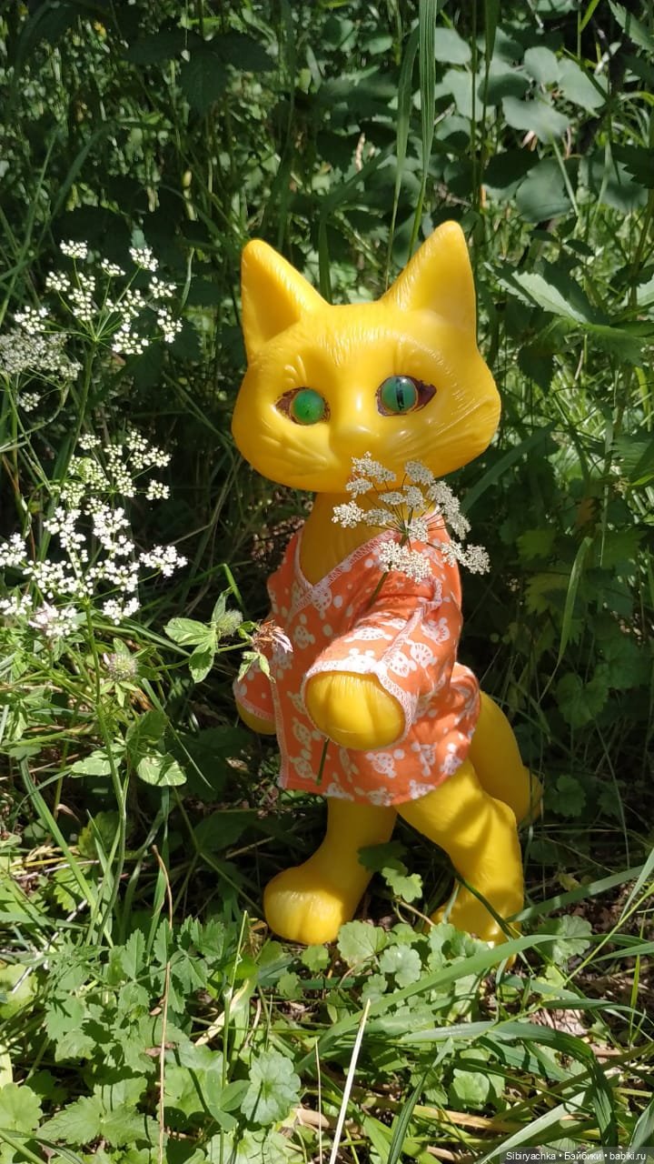 Котофей Иванович изучает окрестности деревни "Радость"