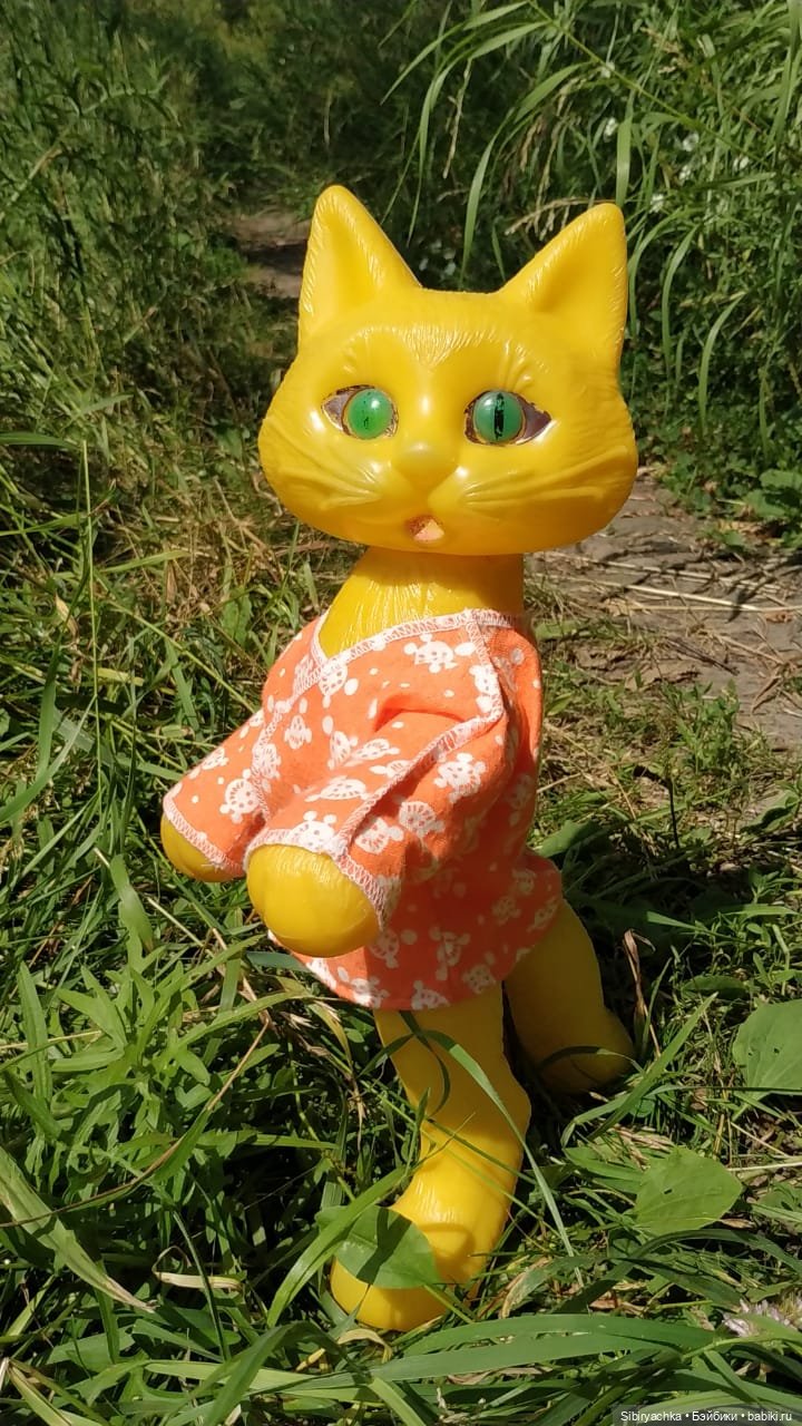 Котофей Иванович изучает окрестности деревни "Радость"