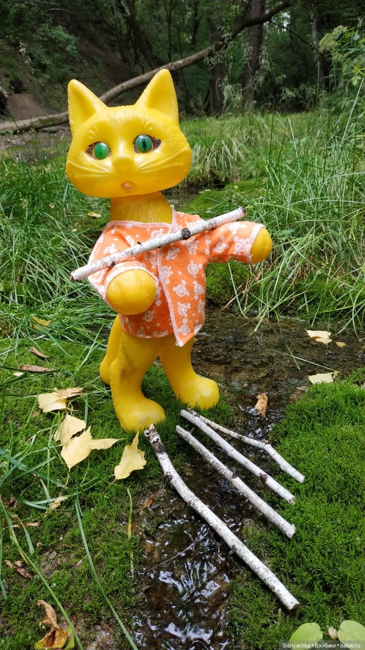 Котофей Иванович изучает окрестности деревни "Радость"