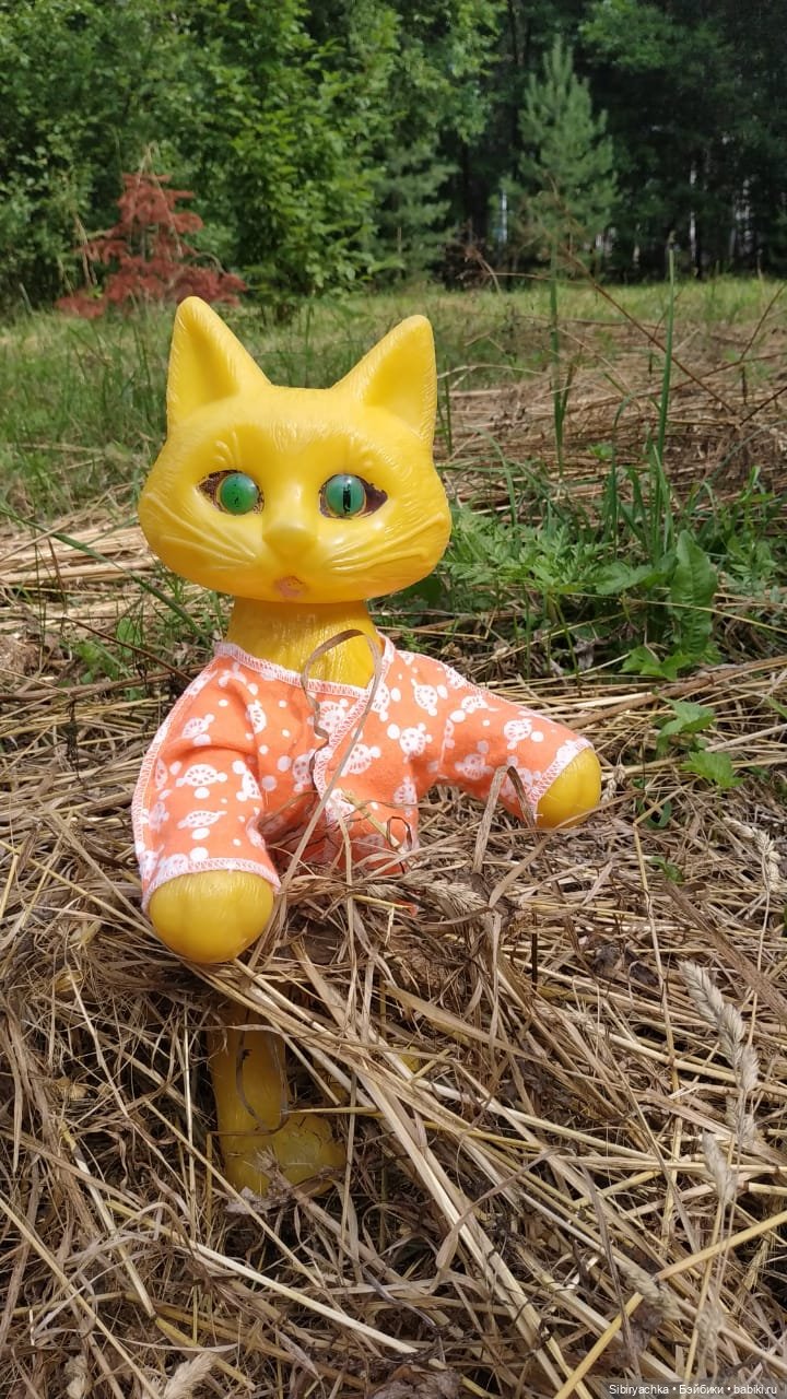 Котофей Иванович изучает окрестности деревни "Радость" (фото 7)