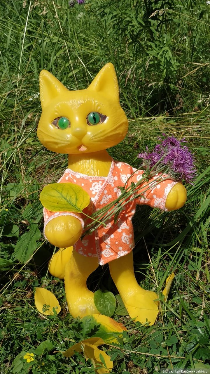 Котофей Иванович изучает окрестности деревни "Радость"