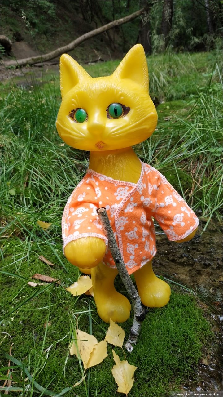 Котофей Иванович изучает окрестности деревни "Радость"