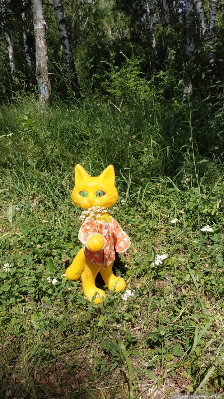 Котофей Иванович изучает окрестности деревни "Радость"