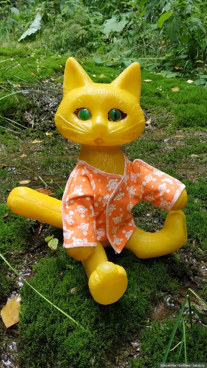 Котофей Иванович изучает окрестности деревни "Радость"