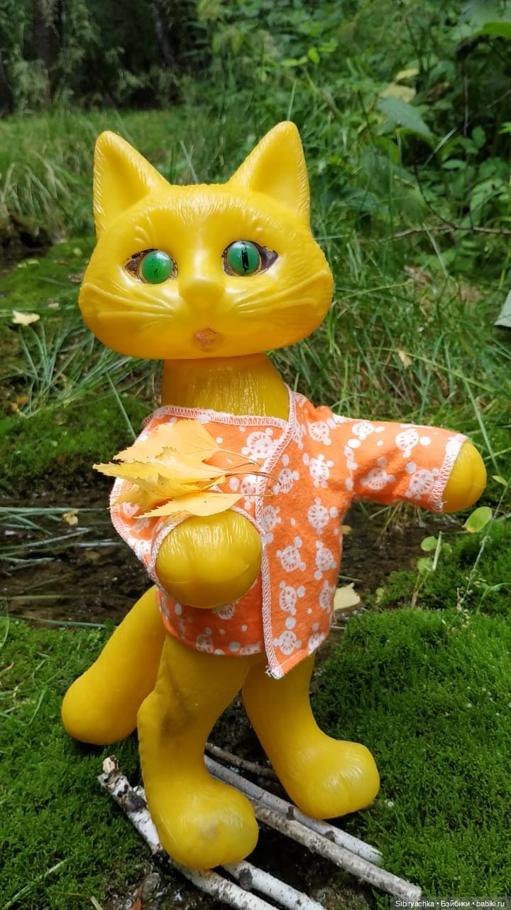 Котофей Иванович изучает окрестности деревни "Радость"