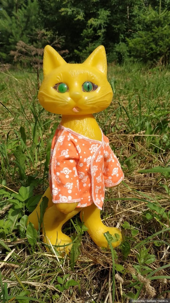 Котофей Иванович изучает окрестности деревни "Радость" (фото 3)