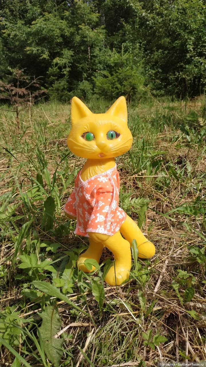 Котофей Иванович изучает окрестности деревни "Радость" (фото 4)