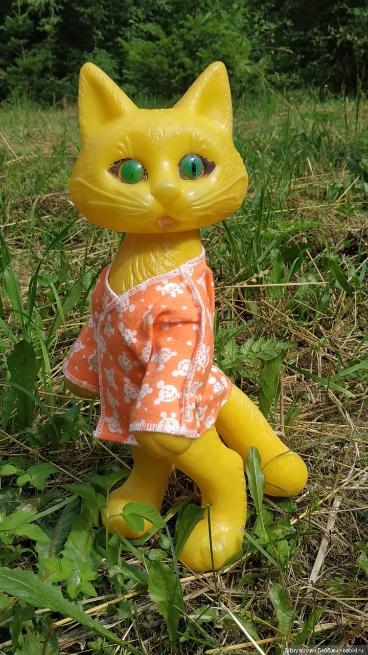 Котофей Иванович изучает окрестности деревни "Радость" (фото 5)