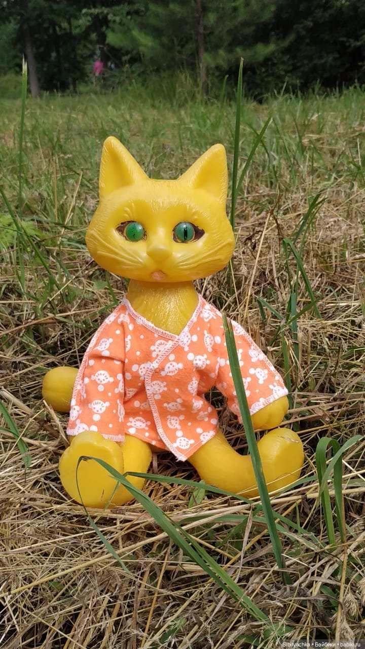 Котофей Иванович изучает окрестности деревни "Радость" (фото 9)