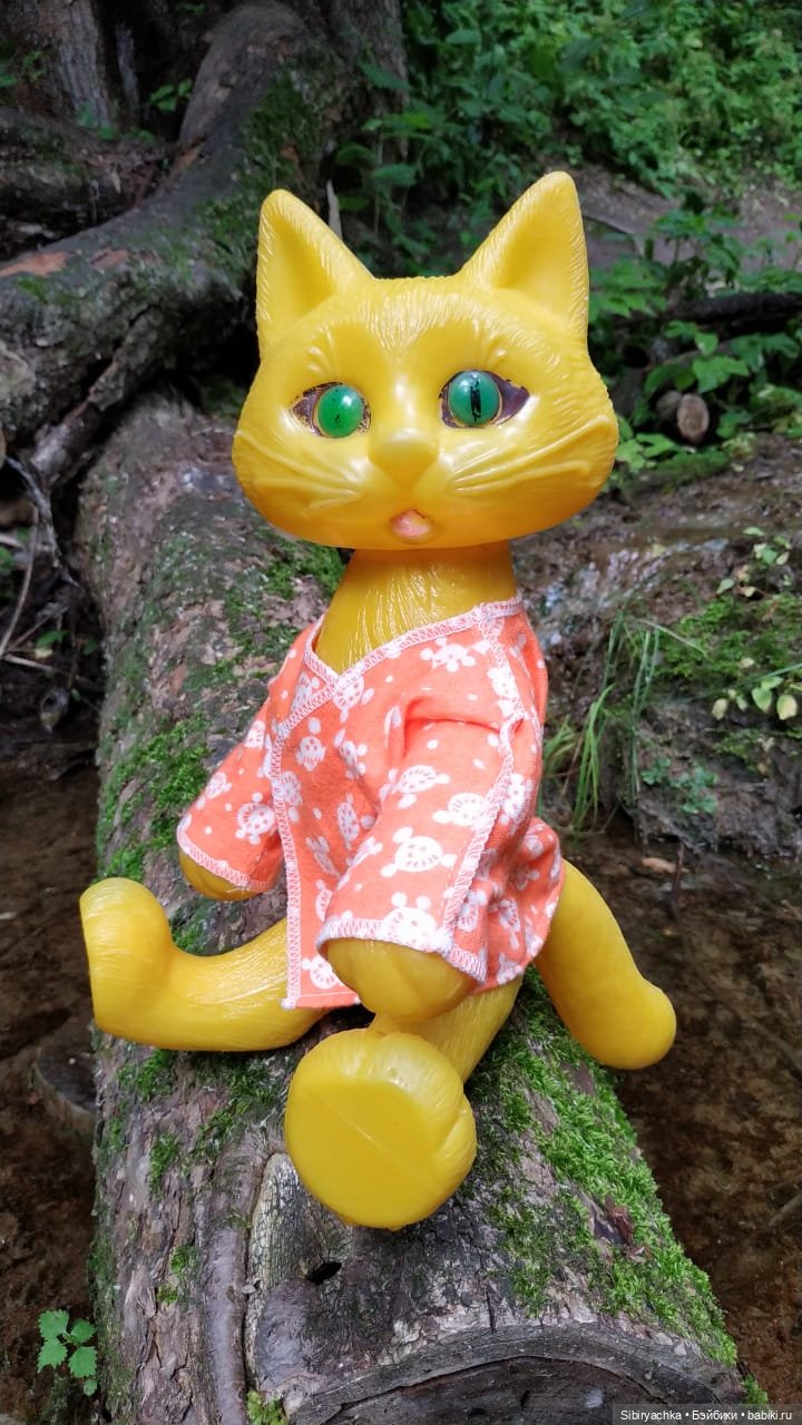 Котофей Иванович изучает окрестности деревни "Радость"