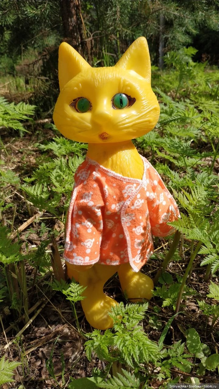 Котофей Иванович изучает окрестности деревни "Радость" (фото 10)