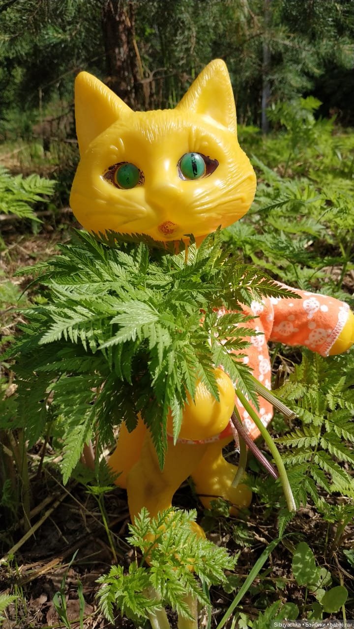 Котофей Иванович изучает окрестности деревни "Радость"