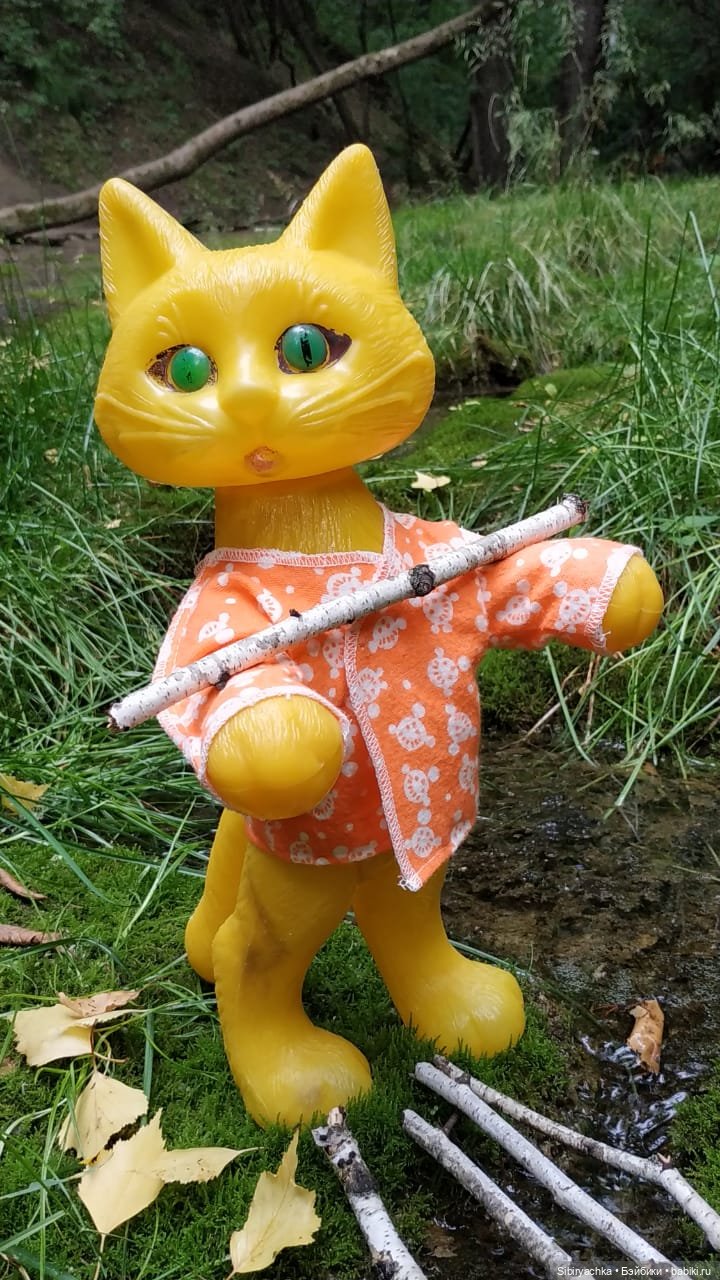 Котофей Иванович изучает окрестности деревни "Радость"