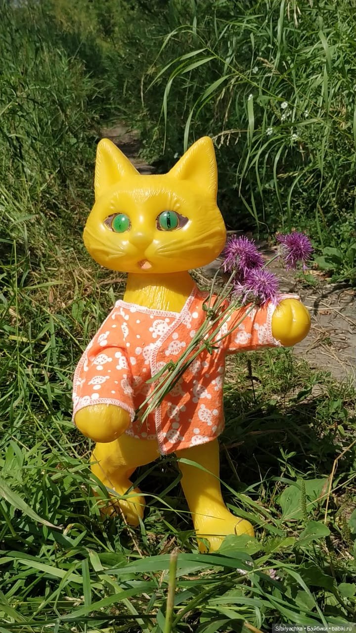 Котофей Иванович изучает окрестности деревни "Радость"