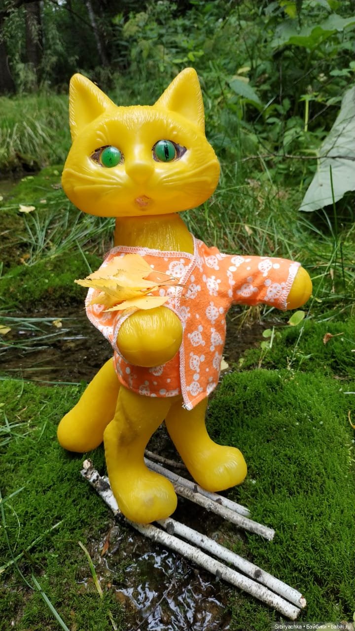 Котофей Иванович изучает окрестности деревни "Радость"